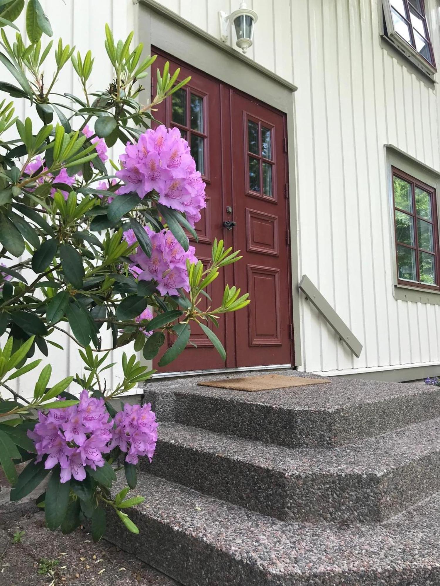 Sjoetorps Saeteris Bed & Breakfast Flygeln Larv Exterior foto